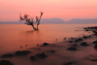 中国云南昆明市官渡区王官湿地