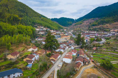浙江省丽水市庆元县百山祖镇斋郎村