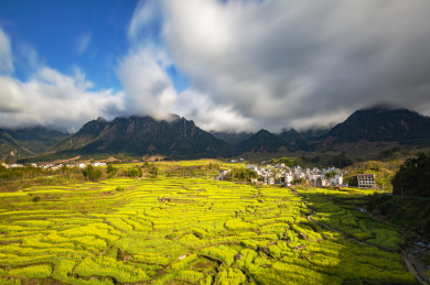 安徽省宣城市绩溪县家朋乡油菜花