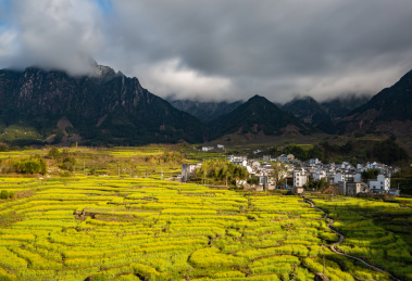 安徽省宣城市绩溪县家朋乡油菜花