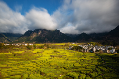 安徽省宣城市绩溪县家朋乡油菜花