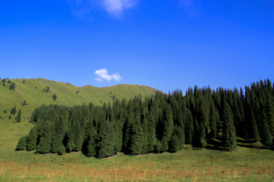 中国新疆伊犁哈萨克自治州那拉提大草原