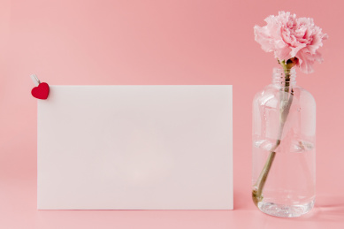 粉色背景上插在花瓶里的康乃馨和空白卡片