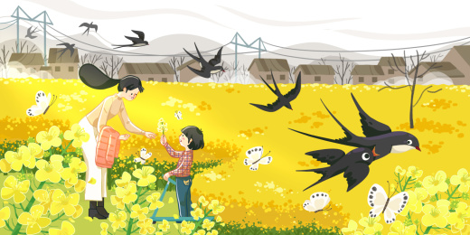 春天清明油菜花亲子插画