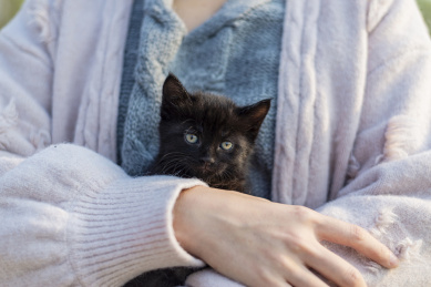 春天在北京公园怀里抱着黑色幼猫的女孩