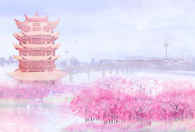 武汉市的黄鹤楼周围，樱花正盛开插画背景