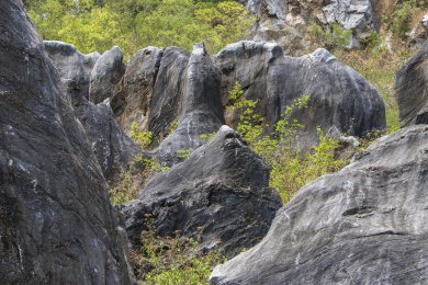 中国海南儋州石花水洞景区山脚下的石林