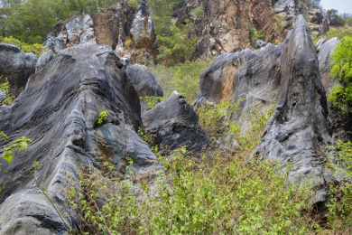 中国海南儋州石花水洞景区山脚下的石林