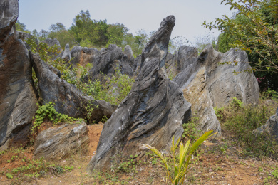 中国海南儋州石花水洞景区山脚下的石林