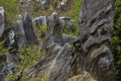 中国海南儋州石花水洞景区山脚下的石林