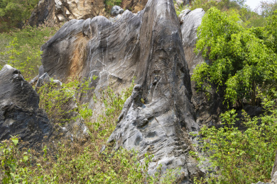 中国海南儋州石花水洞景区山脚下的石林