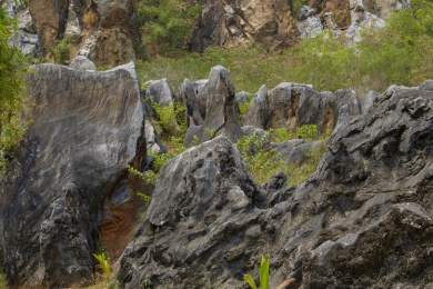 中国海南儋州石花水洞景区山脚下的石林