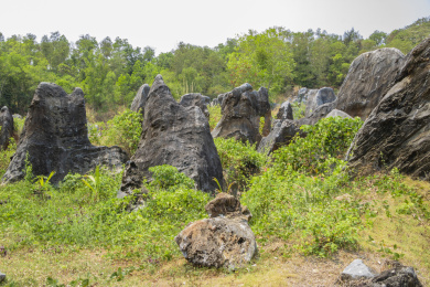 中国海南儋州石花水洞景区山脚下的石林