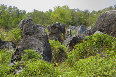 中国海南儋州石花水洞景区山脚下的石林