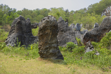 中国海南儋州石花水洞景区山脚下的石林