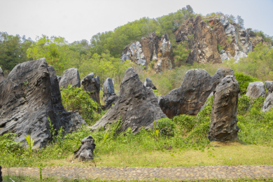 中国海南儋州石花水洞景区山脚下的石林