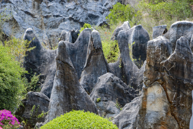 中国海南儋州石花水洞景区的石林