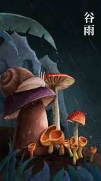 谷雨节气雨夜中生长的植物