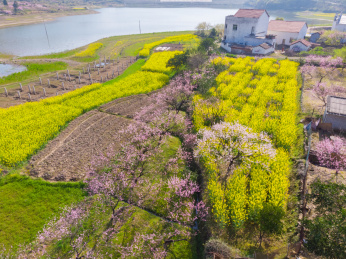 湖北大冶沼山森林公园春季航拍风光