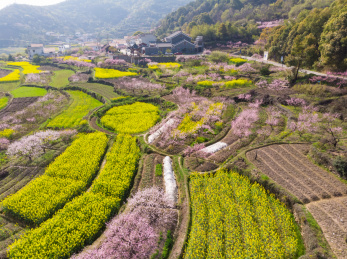 湖北大冶沼山森林公园春季航拍风光