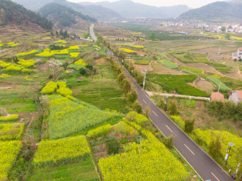 湖北大冶沼山森林公园春季航拍风光