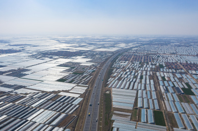 温室蔬菜大棚与高速公路