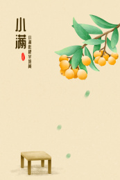 小满枇杷节气插画