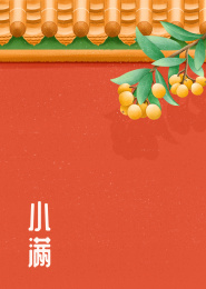 红色背景墙前的枇杷树节气插画