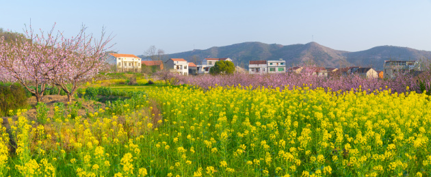 湖北黄石沼山森林公园春季风光