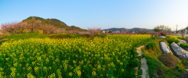 湖北黄石沼山森林公园春季风光