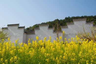 湖北黄石沼山森林公园春季风光