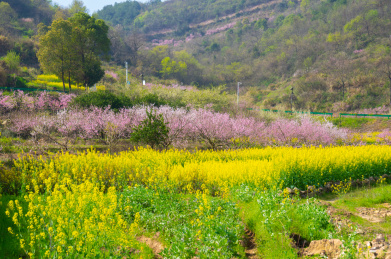 湖北黄石沼山森林公园春季风光