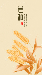 小麦芒种节气手绘插画