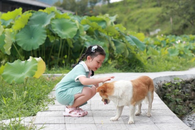 和小狗玩耍的女孩