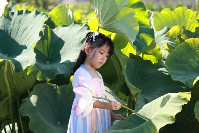 在夏天的荷塘玩耍的女孩