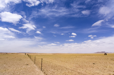 中国内蒙古巴彦淖尔温根塔拉草原旅游区