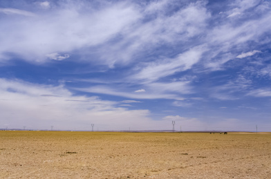 中国内蒙古巴彦淖尔温根塔拉草原旅游区