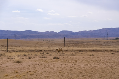 中国内蒙古巴彦淖尔温根塔拉草原旅游区