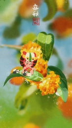 立秋-虎头帽娃娃坐在桂花上