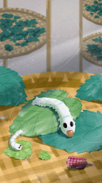 节气插画  小满