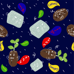 咖啡豆和白砂糖平铺