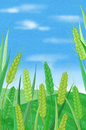 二十四节气-小满