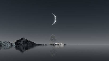 三维渲染月光下的湖泊与银白色枯树场景