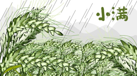 二十四节气之小满