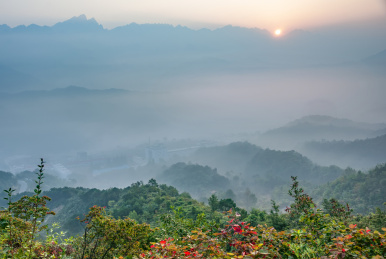 中国河南南阳市西峡县伏牛山老界岭