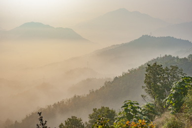 中国河南南阳市西峡县伏牛山老界岭