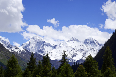 中国新疆伊犁昭苏县夏塔国家森林公园