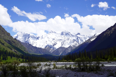 中国新疆伊犁昭苏县夏塔国家森林公园