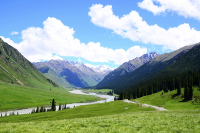 中国新疆伊犁昭苏县夏塔国家森林公园