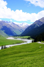 中国新疆伊犁昭苏县夏塔国家森林公园